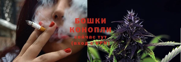 Альфа ПВП Горно-Алтайск