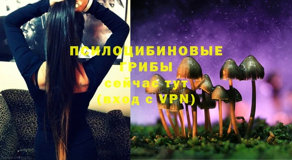 Альфа ПВП Горно-Алтайск