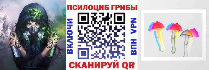 купить   Меленки  Псилоцибиновые грибы GOLDEN TEACHER 